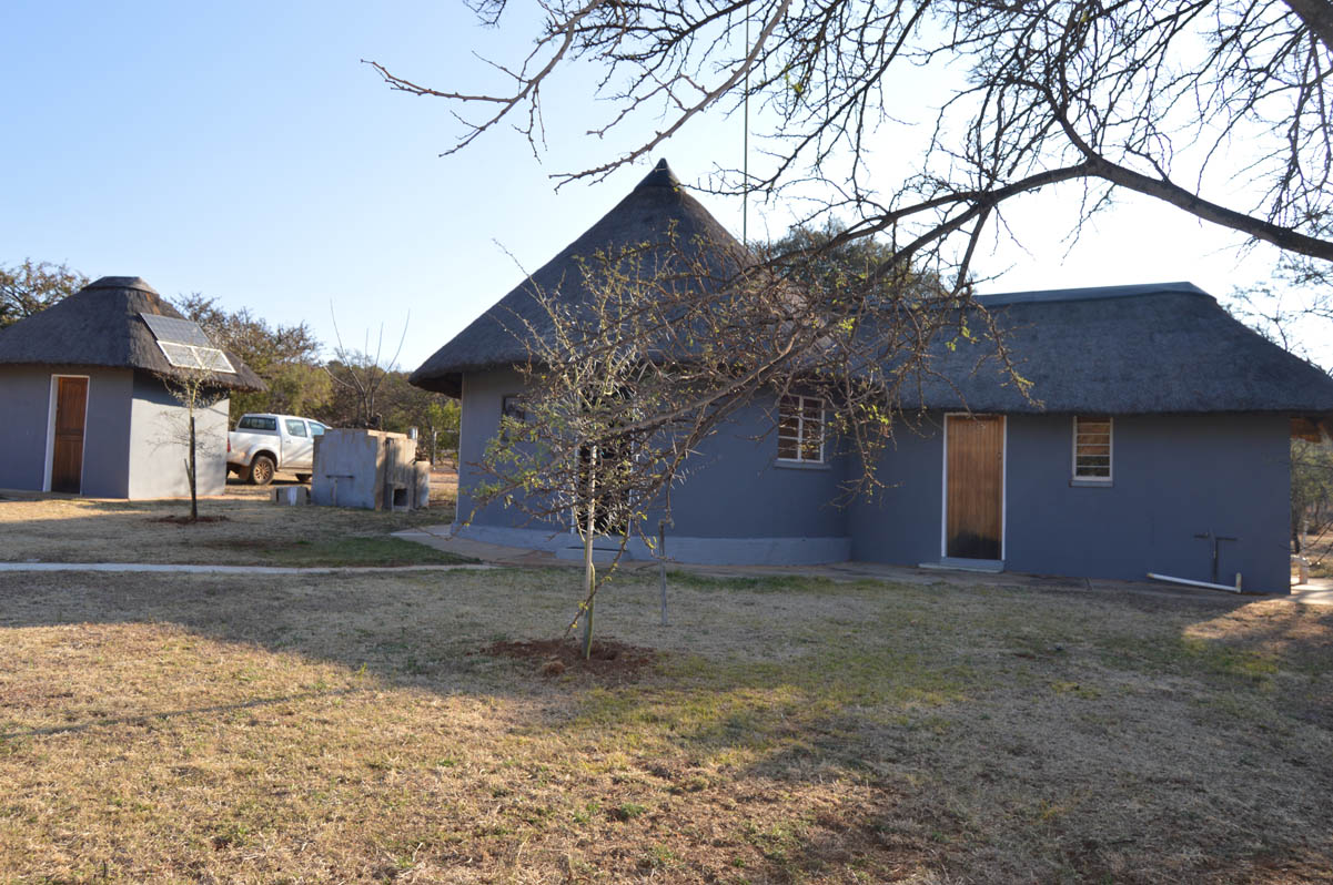 View of the bush chalets
